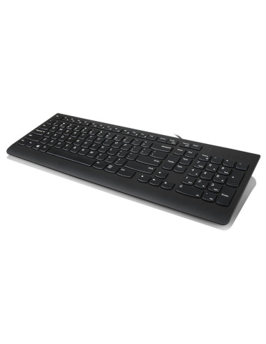 Kit mouse tastatura Lenovo 300 USB Combo...