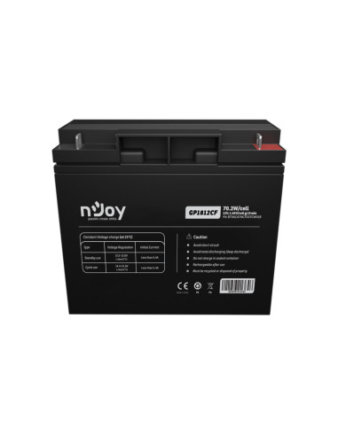 Accesorii UPS-uri NJOY ACUMULATOR NJOY GP1812CF...