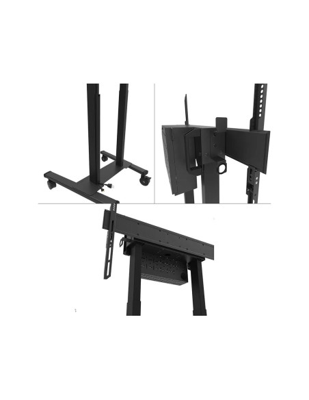 Suport TV / Monitor NEOMOUNTS Stand podea mobil NM 55"-100" 110kg ng