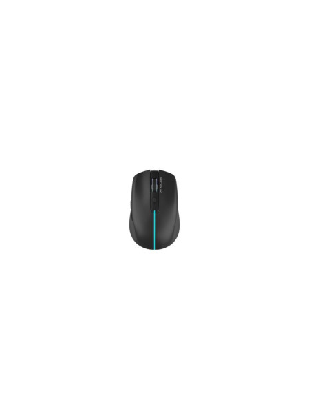 Mouse SERIOUX Mouse Serioux Flicker 212, Wireless, Negru, senzor: Optic, DPI: 800/ 1200/ 1600, conexiune: Dongle USB 2,4 GHz, ba