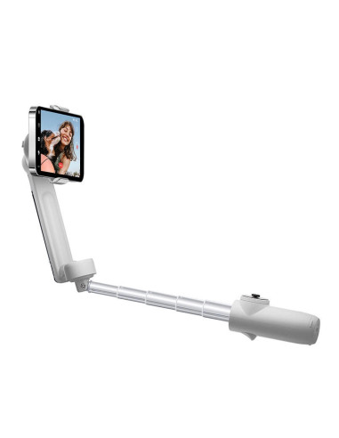 Carduri memorie Insta360 Flow Stabilizer,...