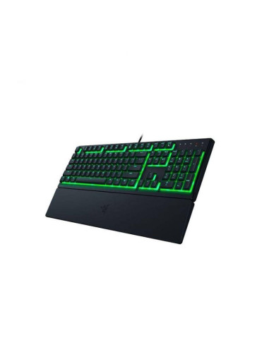 Tastaturi RAZER Tastatura Gaming Razer Ornata...