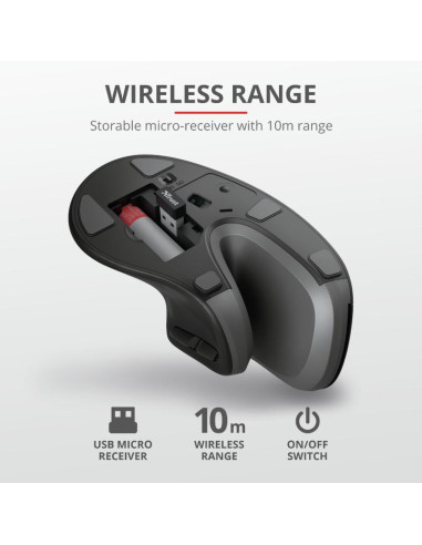 Mouse TRUST Mouse Wireless Trust Verro, 1600...