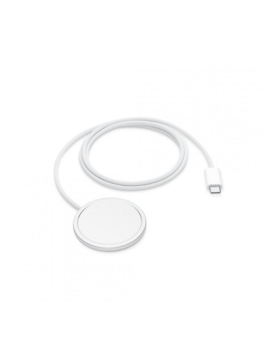 Accesorii Apple MagSafe Charger (1 m)