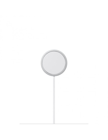 Accesorii Apple MagSafe Charger (1 m)