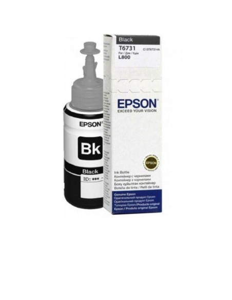 Cartuse cerneala EPSON Cartus Epson T6731, Black