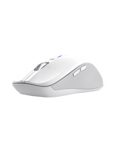 Mouse TRUST Mouse Wireless Trust Ferro...
