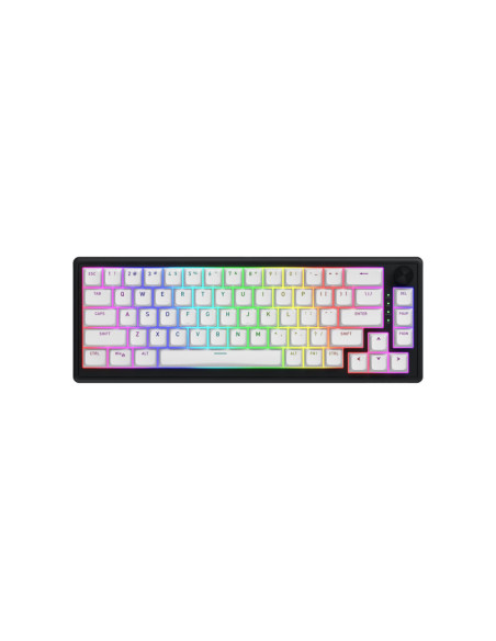 Tastaturi HATOR Tastatura Mecanica Gaming HATOR Skyfall Wireless 65, RGB, Wireless, Alb-Negru
