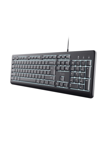 Tastaturi TRUST Tastatura Trust Primo, USB, gri