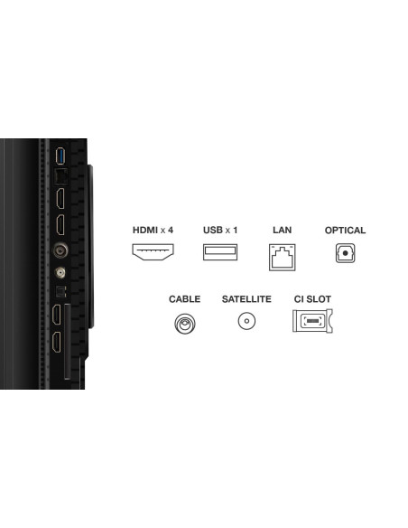 Televizoare TCL QLED TV 4K 55''(139cm) TCL 55P81K