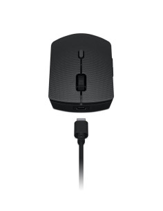 Mouse LENOVO LN Professional Keyboard and Mouse 2