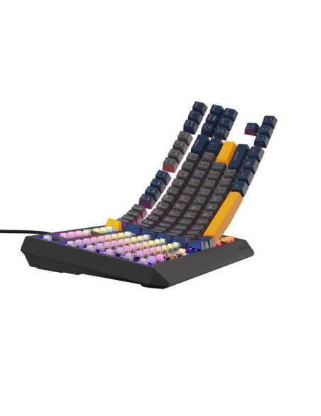 Tastaturi GENESIS Tastatura Mecanica Gaming Genesis Thor 230 TKL, RGB, USB, Albastru