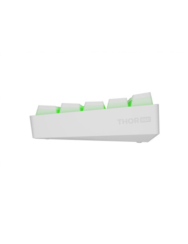 Tastaturi GENESIS Tastatura Mecanica Gaming...